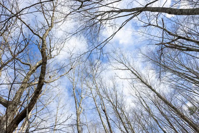 $65,000 | 1920 Raulston Fls Road, Jasper, TN 37347