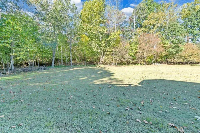 a view of a field with an trees