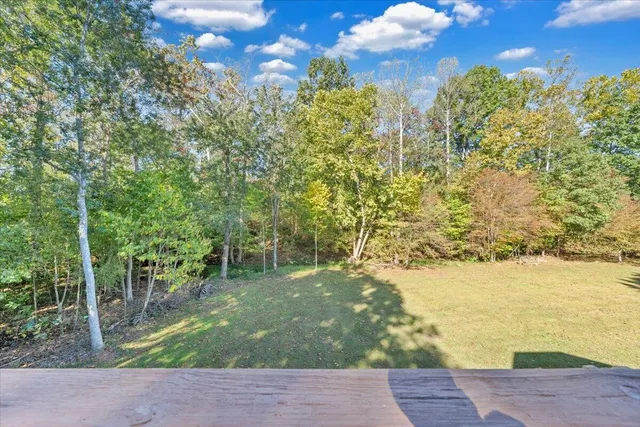 a view of a yard with plants and large trees