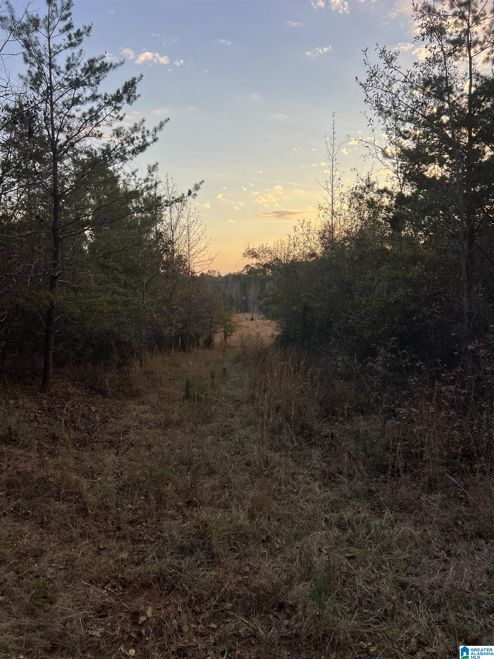 11-acres Risers Mill Road, Unit 11 ACRES Alpine, AL 35014 - Photo 21 of 23