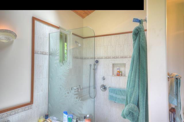 1629 West Kuiaha Road Haiku, HI 96708 - Photo 16 of 29 a bathroom with a shower