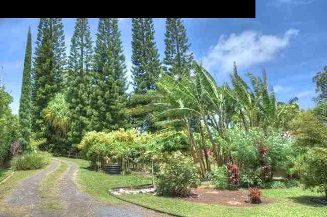 1629 West Kuiaha Road Haiku, HI 96708 - Photo 29 of 29 a view of a yard with plants and a bench
