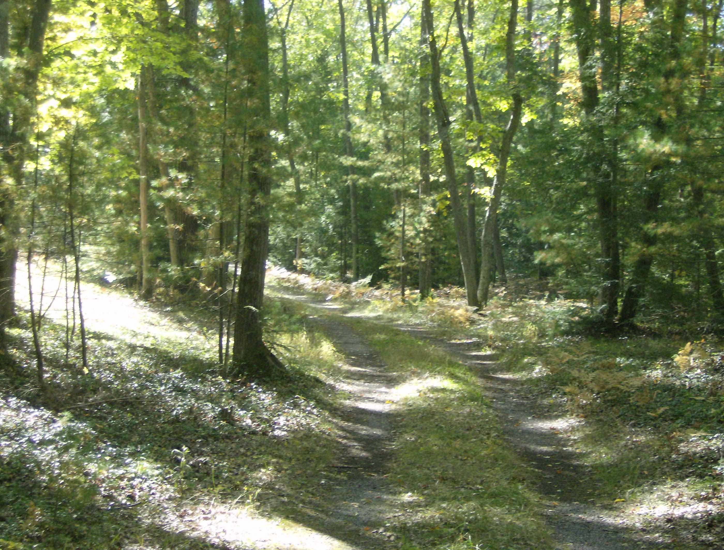 0 West Ausable Point Road, Unit LOT: 5 Oscoda, MI 48750 - Photo 11 of 18