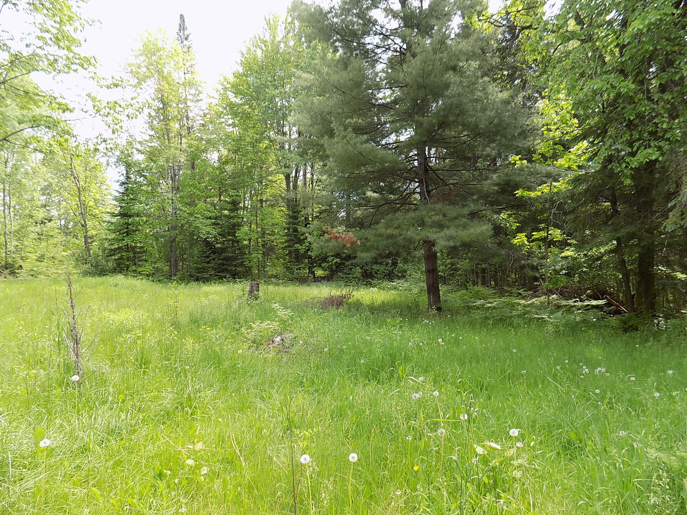 21555 Hubert Road Hillman, MI 49746 - Photo 22 of 35 Gallery Image 22
