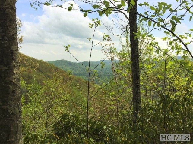 Lot 2 Tower Road Sapphire, NC 28774 - Photo 11 of 35 Gallery Image 11