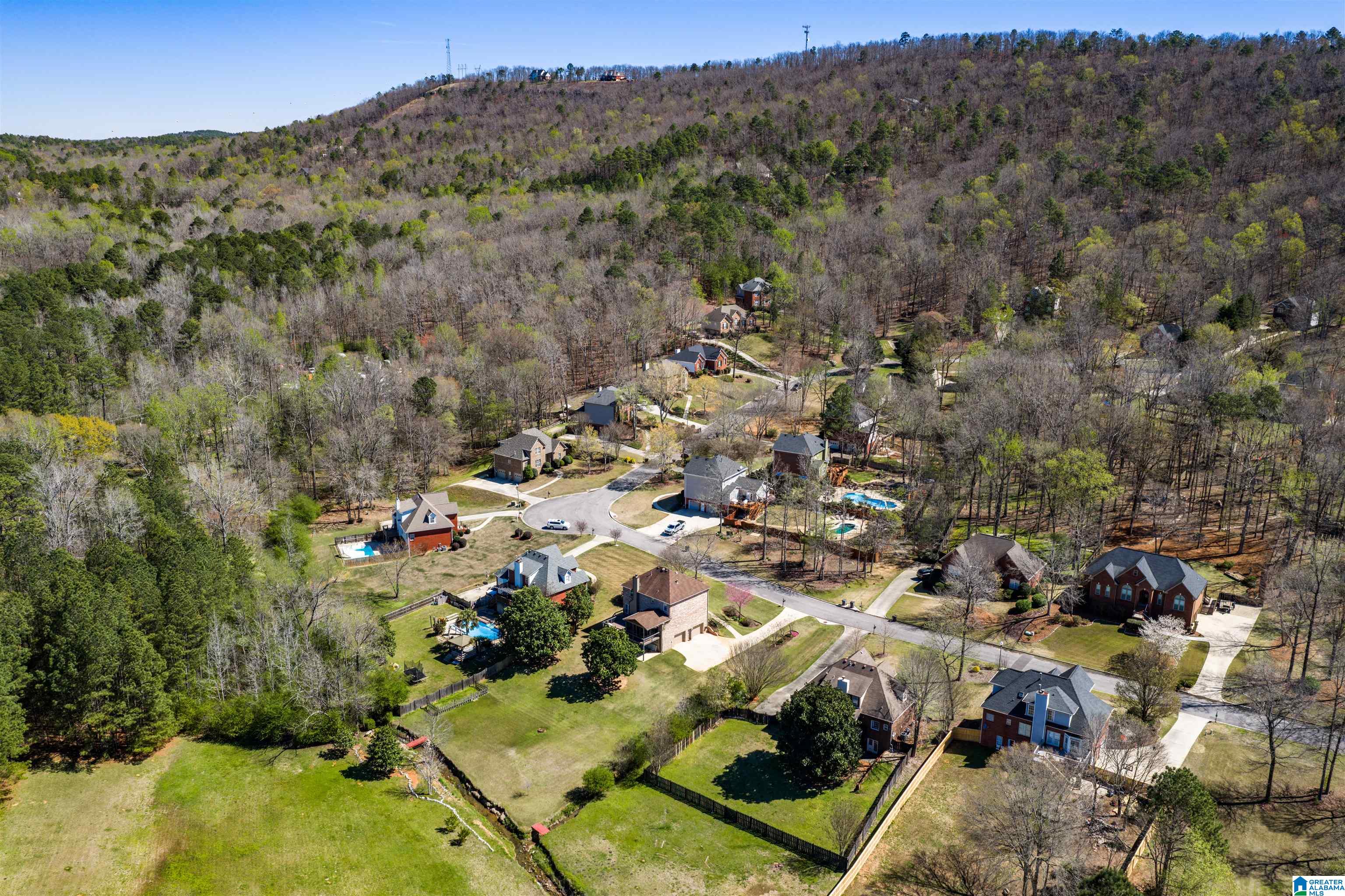 248 Silverleaf Drive Pelham, AL 35124 - Photo 66 of 72