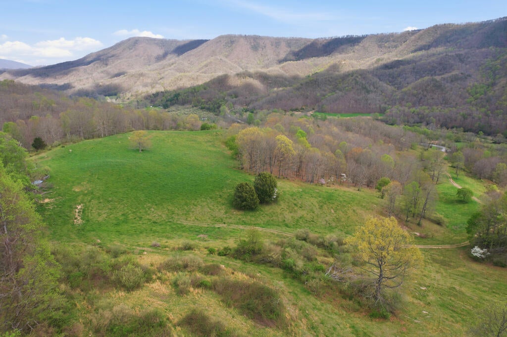 4020 Freestone Valley Road Tannersville, VA 24377 - Photo 54 of 109 Gallery Image 54