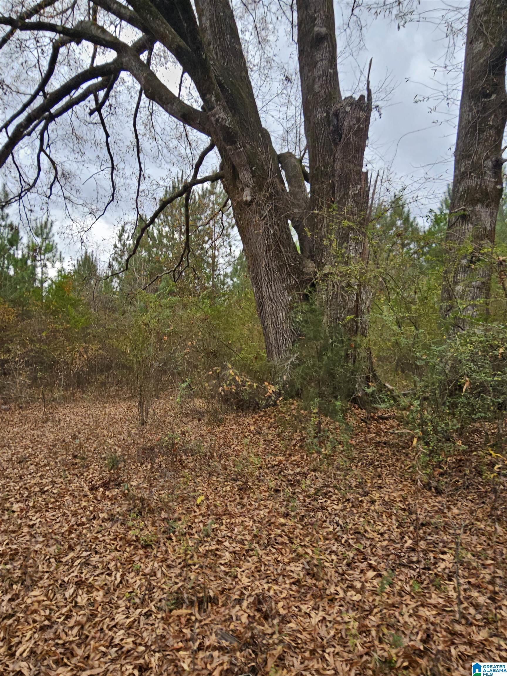 0 County Road 724 Calera, AL 35040 - Photo 17 of 18
