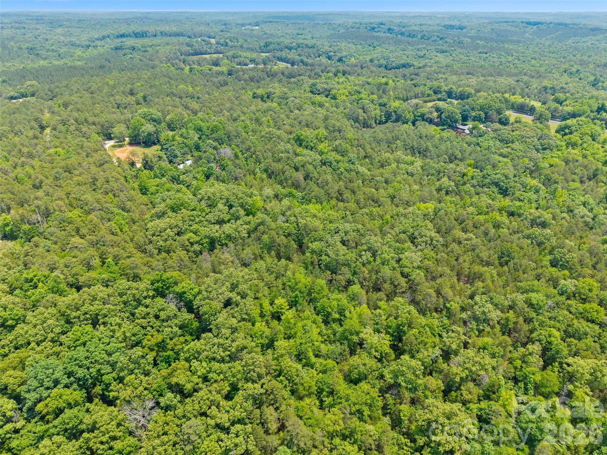 233 Orindawood Road McConnells, SC 29726 - Photo 30 of 34