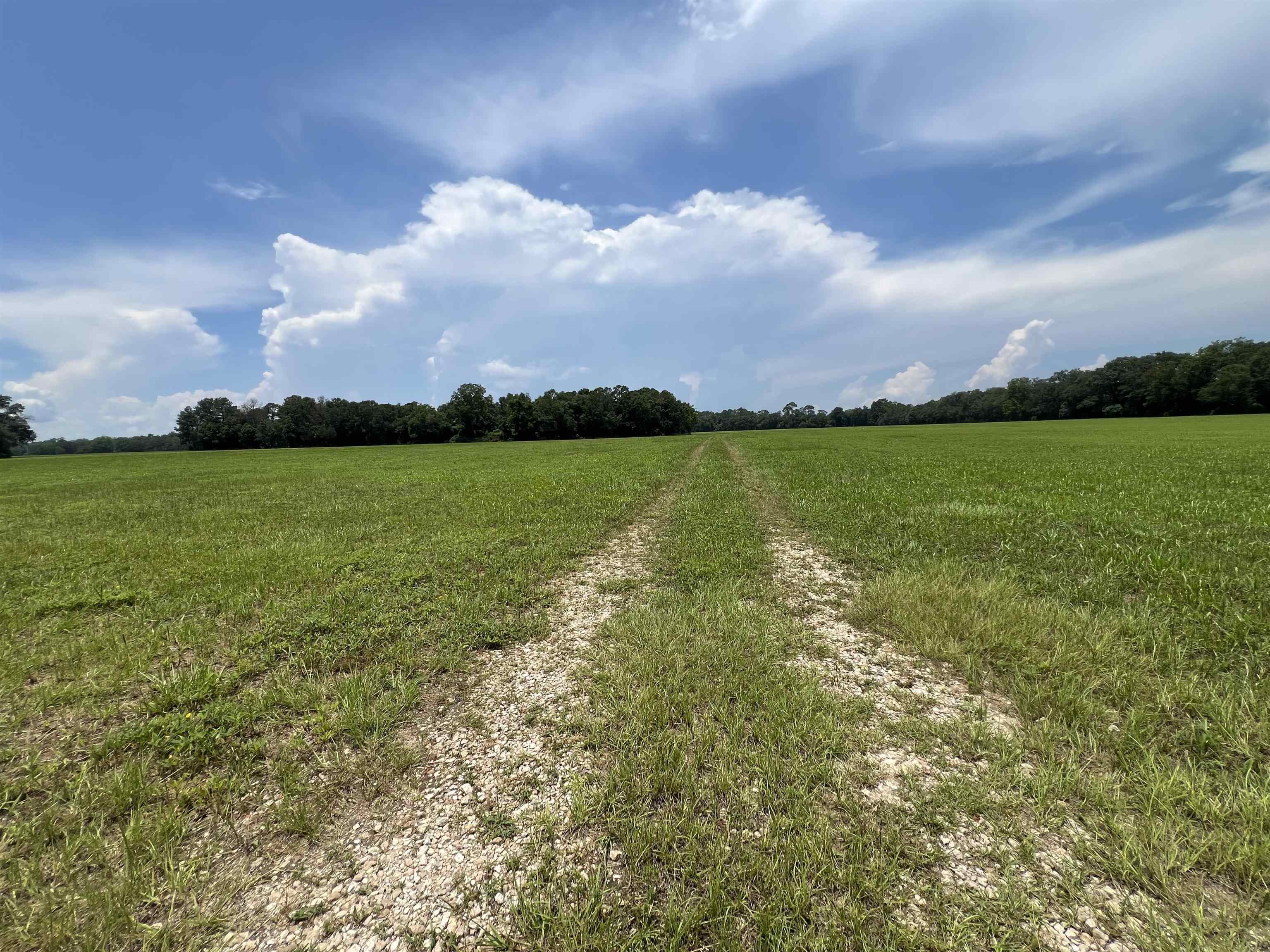 Xx Xx Max Herrin Road Quincy, FL 32352 - Photo 37 of 46
