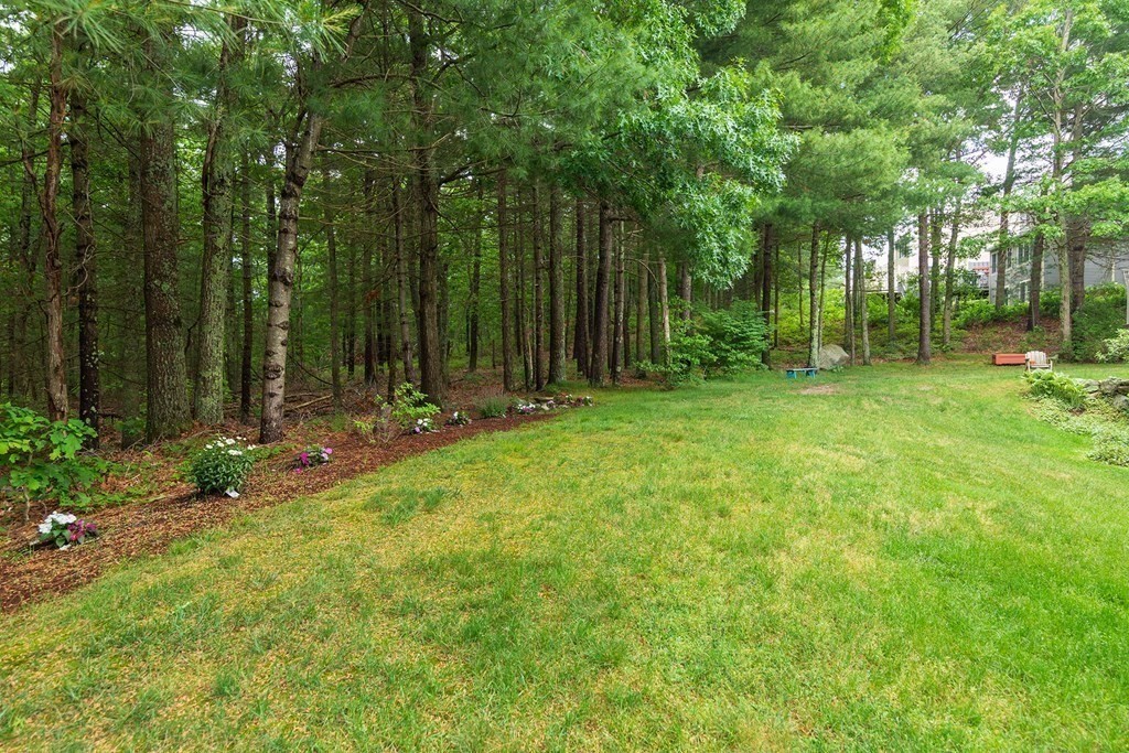 142 Cannon Forge Drive, Unit C142 Foxboro, MA 02035 - Photo 4 of 22