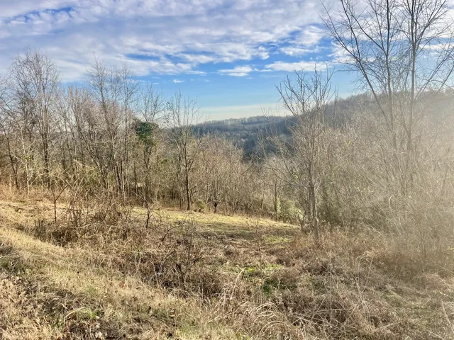 a backyard of a house