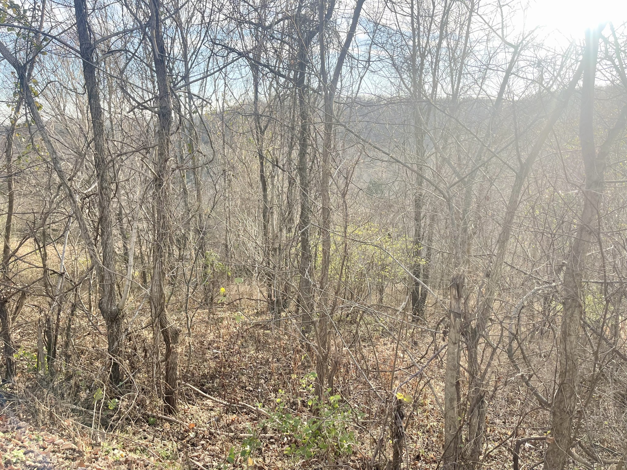 0 Old Lake Road Lewisburg, TN 37091 - Photo 3 of 5