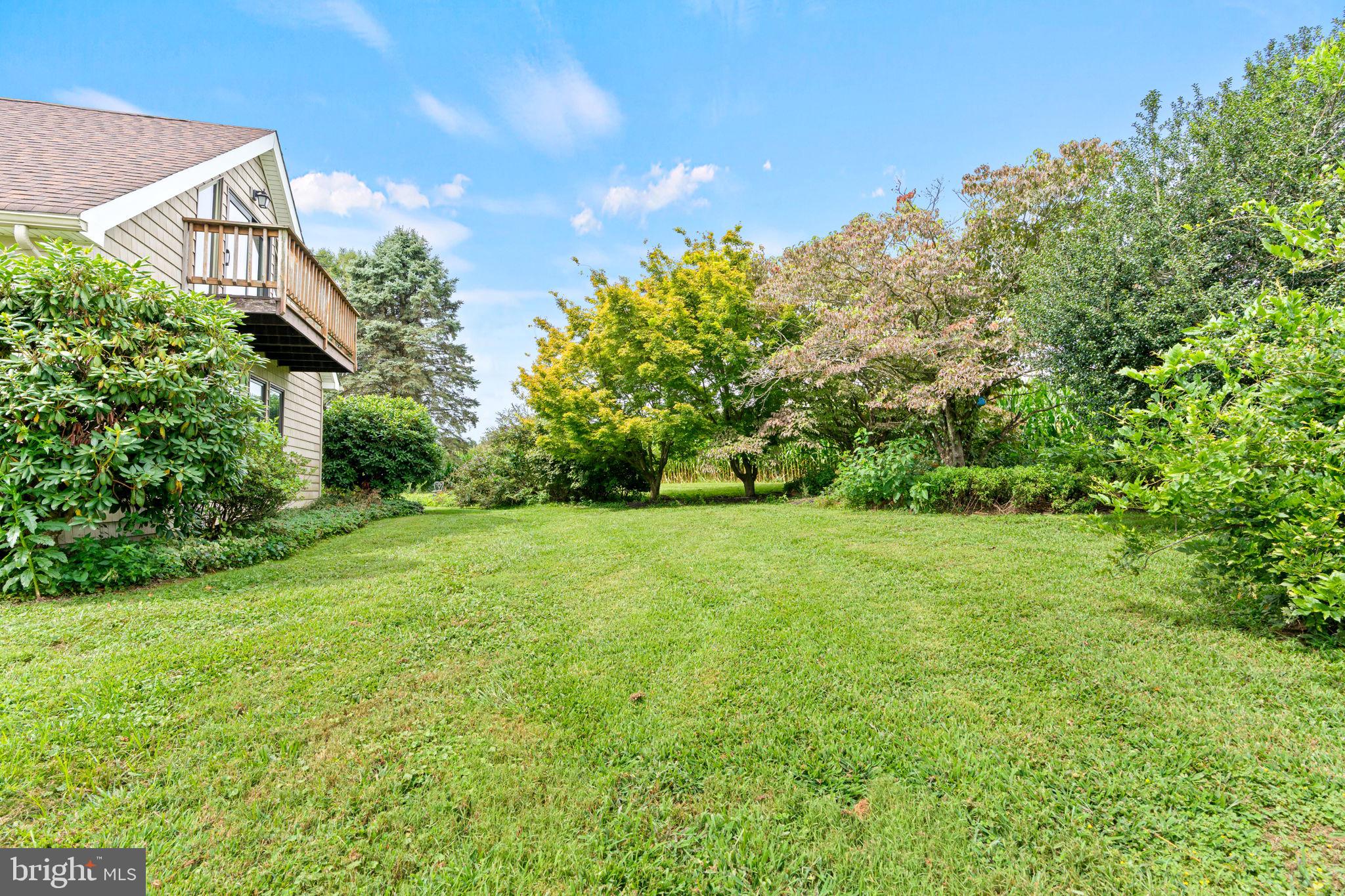 170 Sunset Road Oxford, PA 19363 - Photo 46 of 70 a view of a big yard with plants and large trees