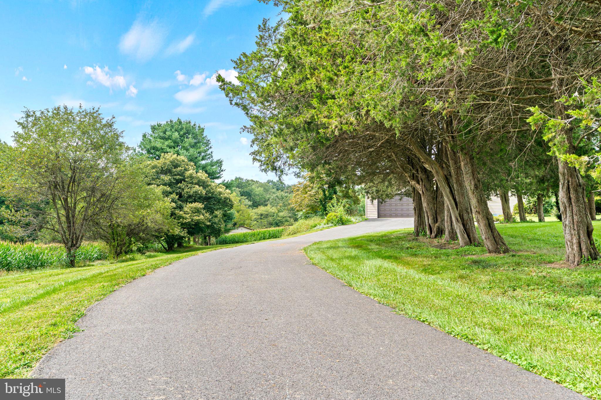 170 Sunset Road Oxford, PA 19363 - Photo 50 of 70 a view of a garden with trees