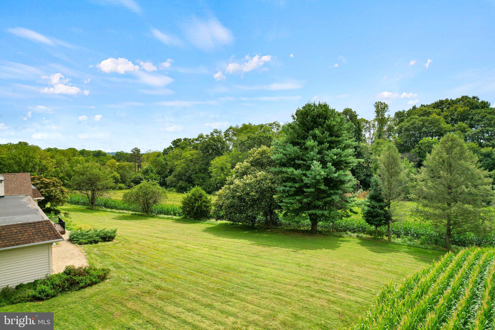 170 Sunset Road Oxford, PA 19363 - Photo 64 of 70 a view of a yard with an trees