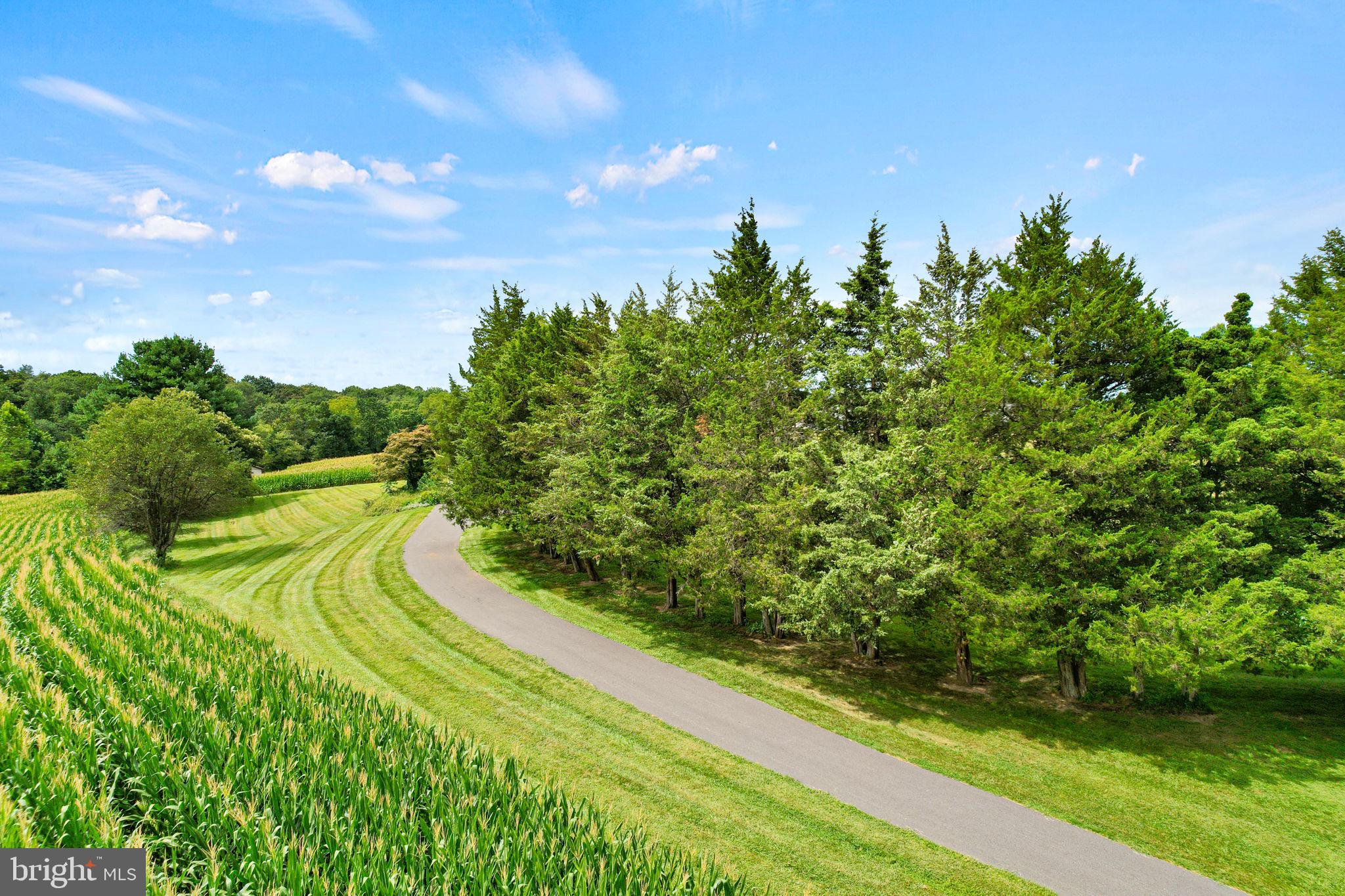 170 Sunset Road Oxford, PA 19363 - Photo 69 of 70 a view of a yard