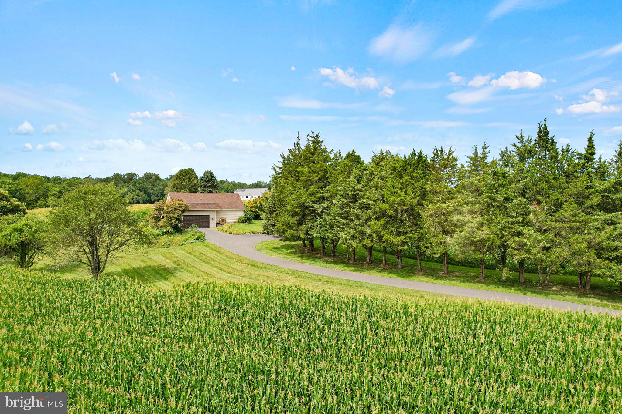 170 Sunset Road Oxford, PA 19363 - Photo 70 of 70 a view of a garden with an trees