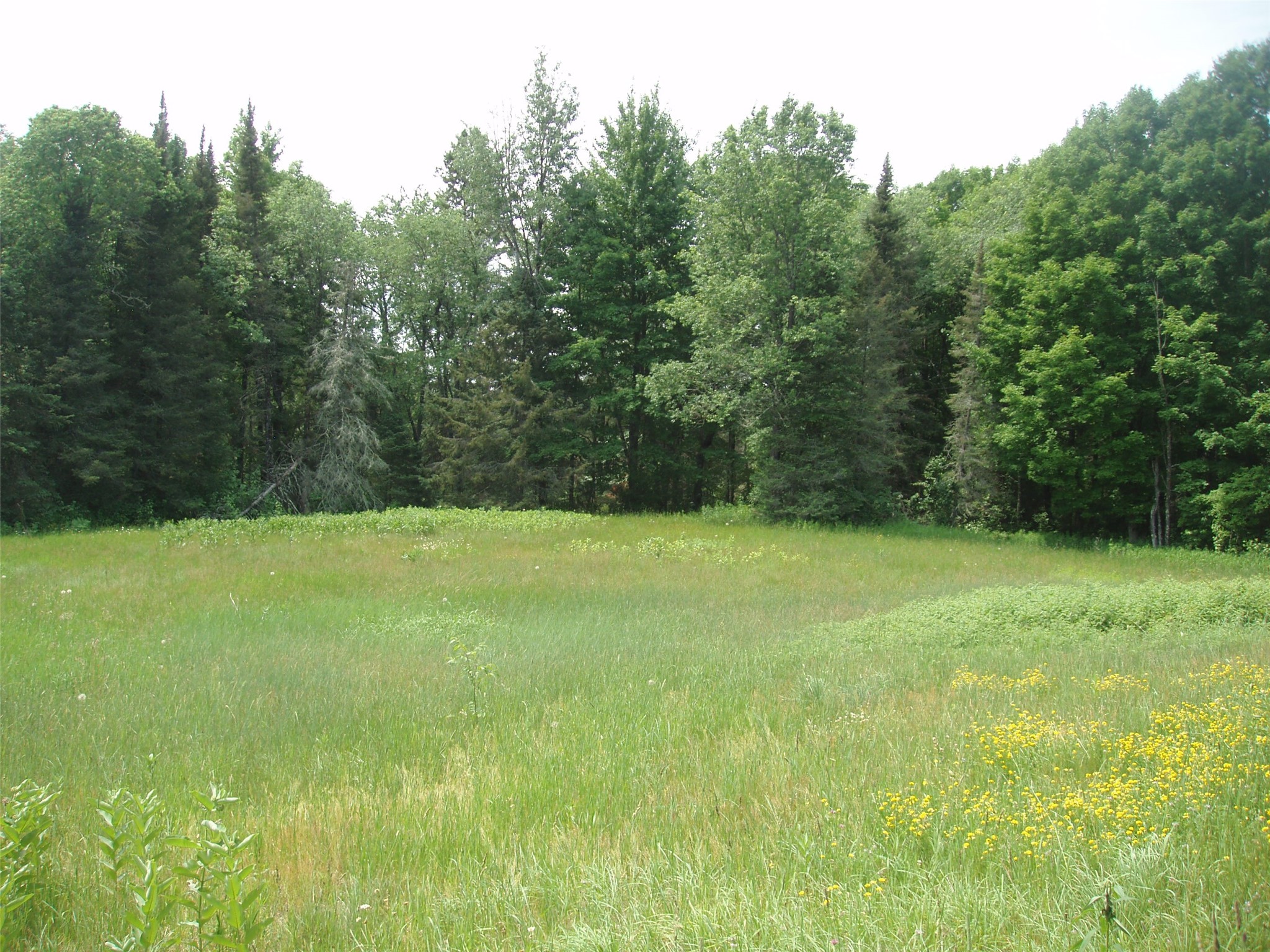 2460 County Hwy FF Butternut, WI 54514 - Photo 22 of 34
