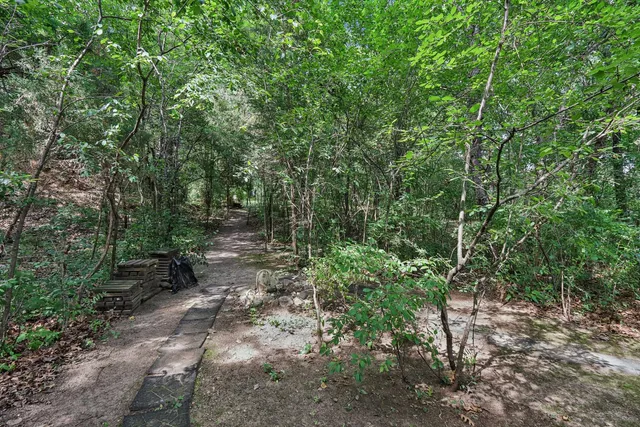 a view of a forest with trees in the background