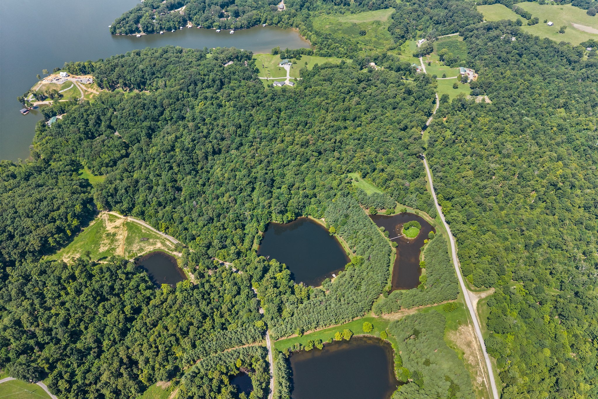 202 Partridge Point Cadiz, KY 42211 - Photo 95 of 100 a view of a garden