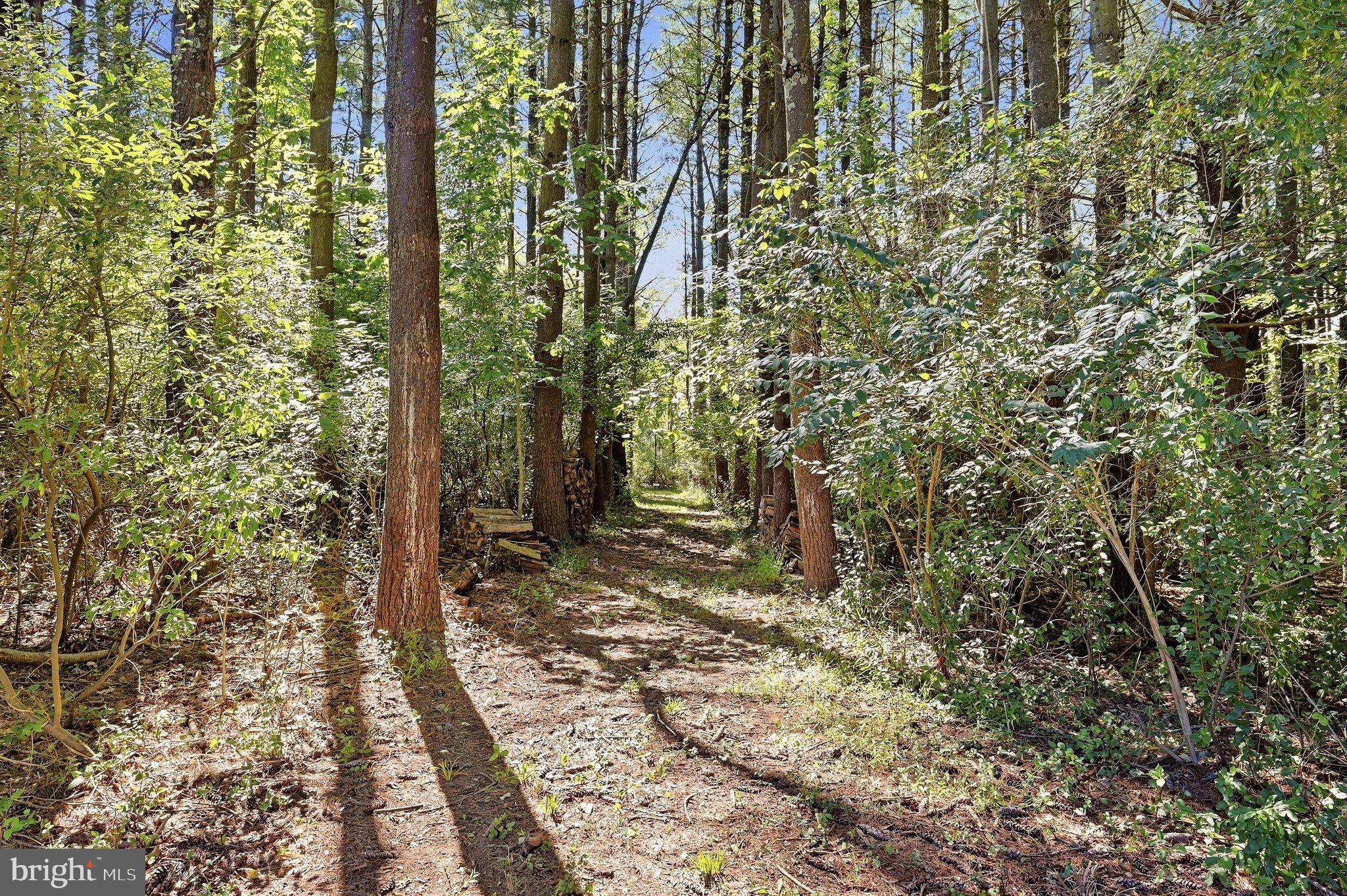 2983 Old Winchester Road Boyce, VA 22620 - Photo 79 of 98 You have your own private hiking trails.