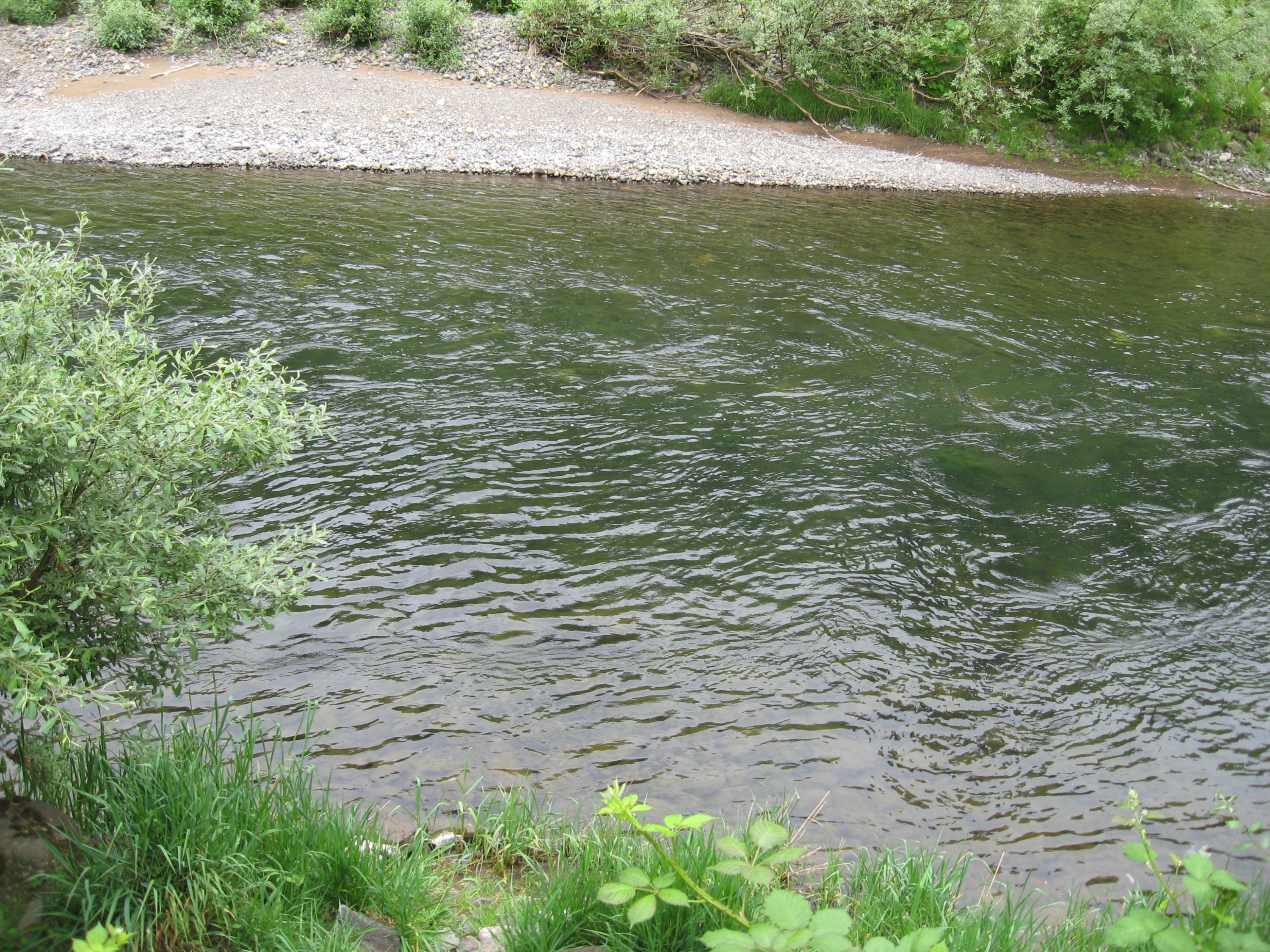 13435 Trask River Road Tillamook, OR 97141 - Photo 22 of 49 Trask River - photo from yard