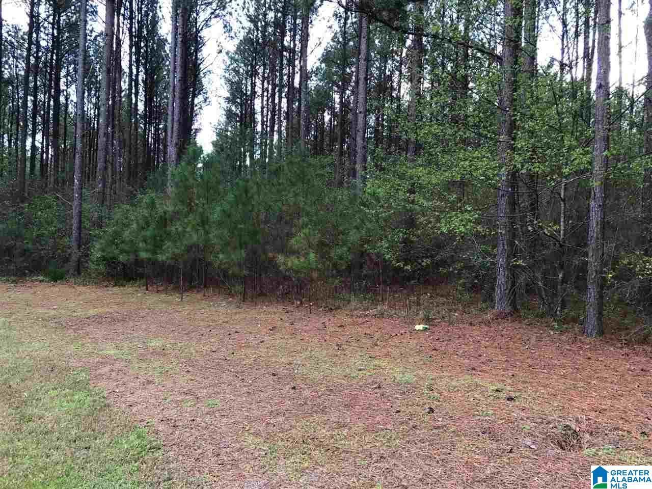 78 Pilgrims Path, Unit 19 Anniston, AL 36207 - Photo 19 of 35