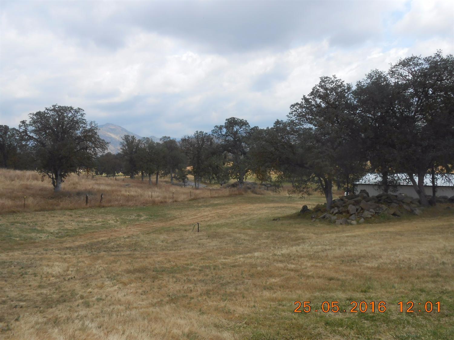 31428 Ruth Hill Road Squaw Valley, CA 93675 - Photo 41 of 43 Gallery Image 41
