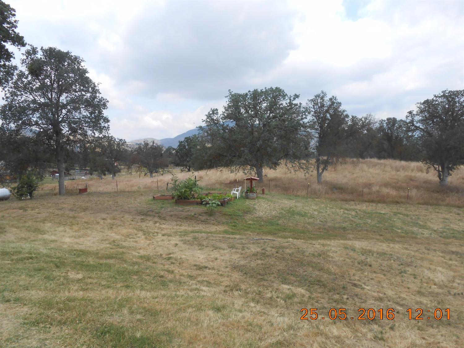 31428 Ruth Hill Road Squaw Valley, CA 93675 - Photo 42 of 43 Gallery Image 42
