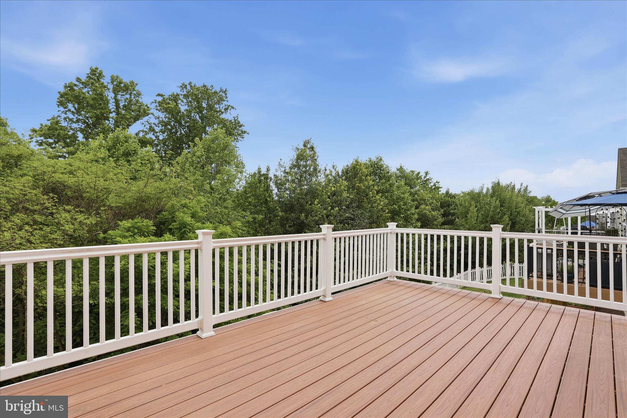 1304 Moore Spring Court Brunswick, MD 21716 - Photo 27 of 63