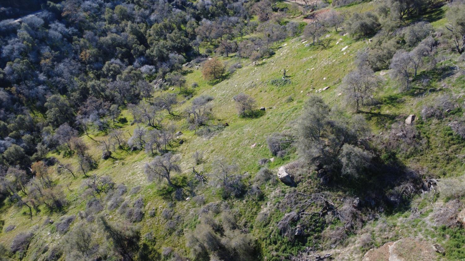 0 Ruth Hill Road Squaw Valley, CA 93675 - Photo 24 of 31