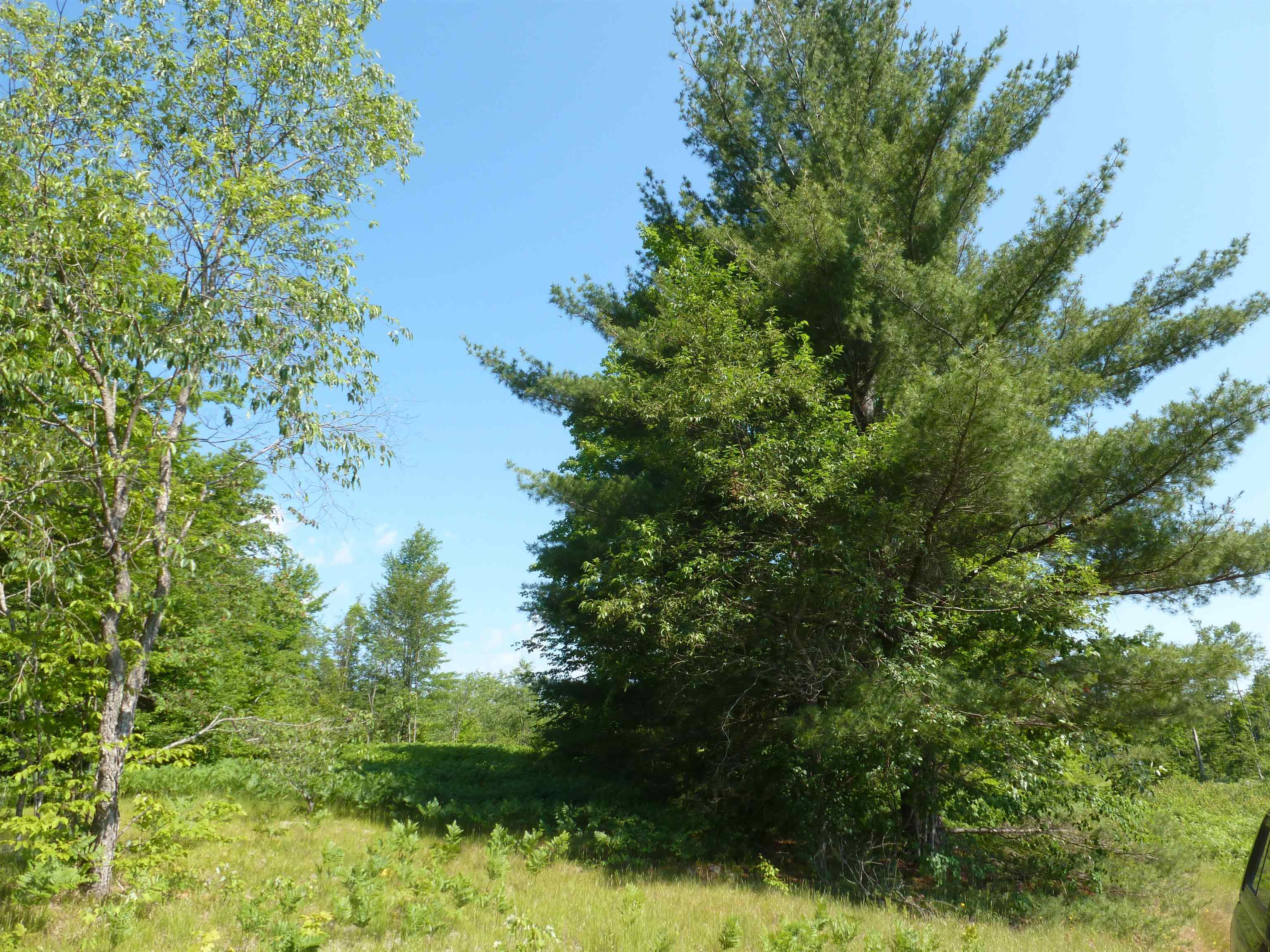 0 Summit Road Northeast Kalkaska, MI 49646 - Photo 5 of 11 1915112-4.JPG