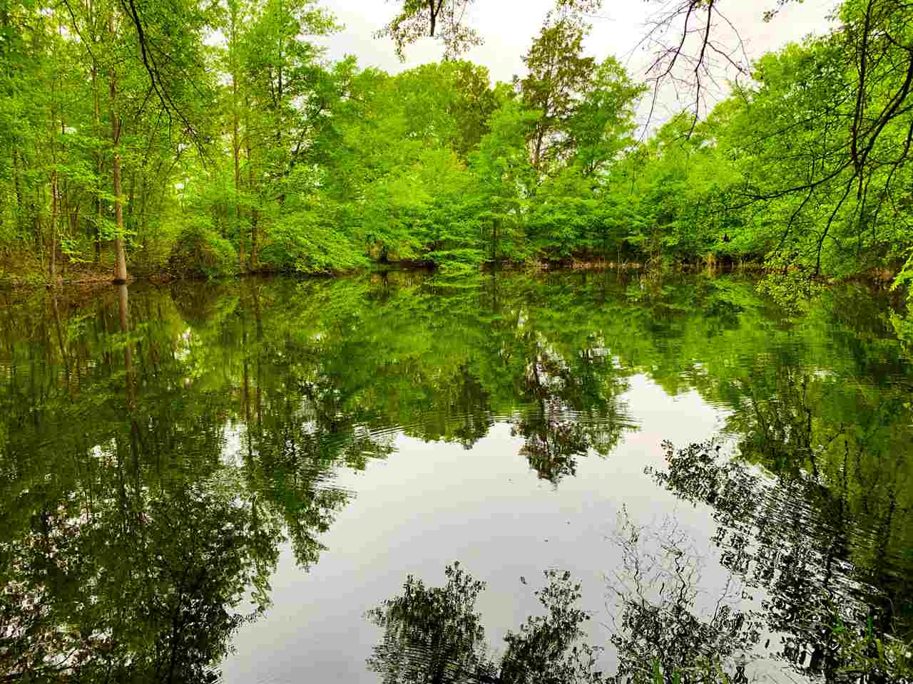 0 Darden Road Jackson, MS 39213 - Photo 2 of 18 Photo 2