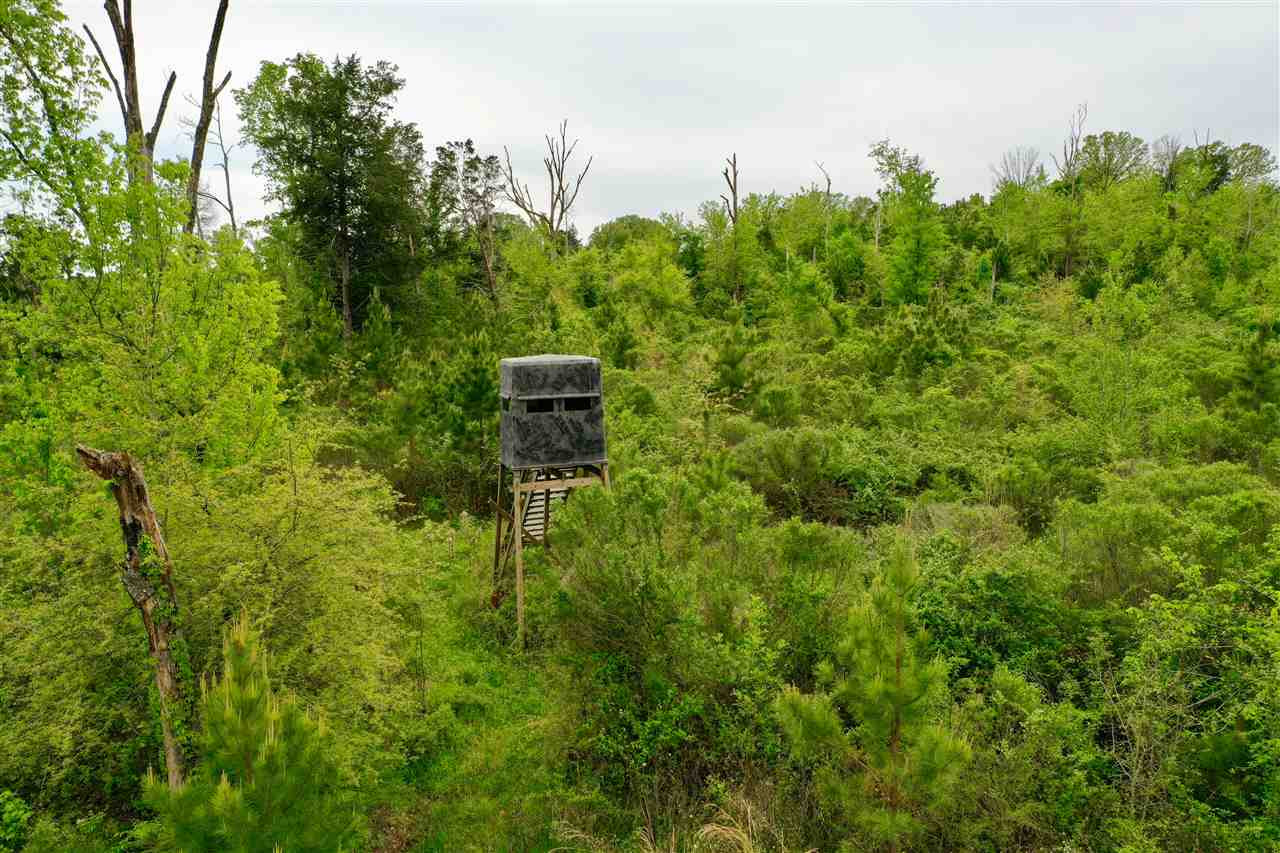 0 Darden Road Jackson, MS 39213 - Photo 3 of 18 Photo 3