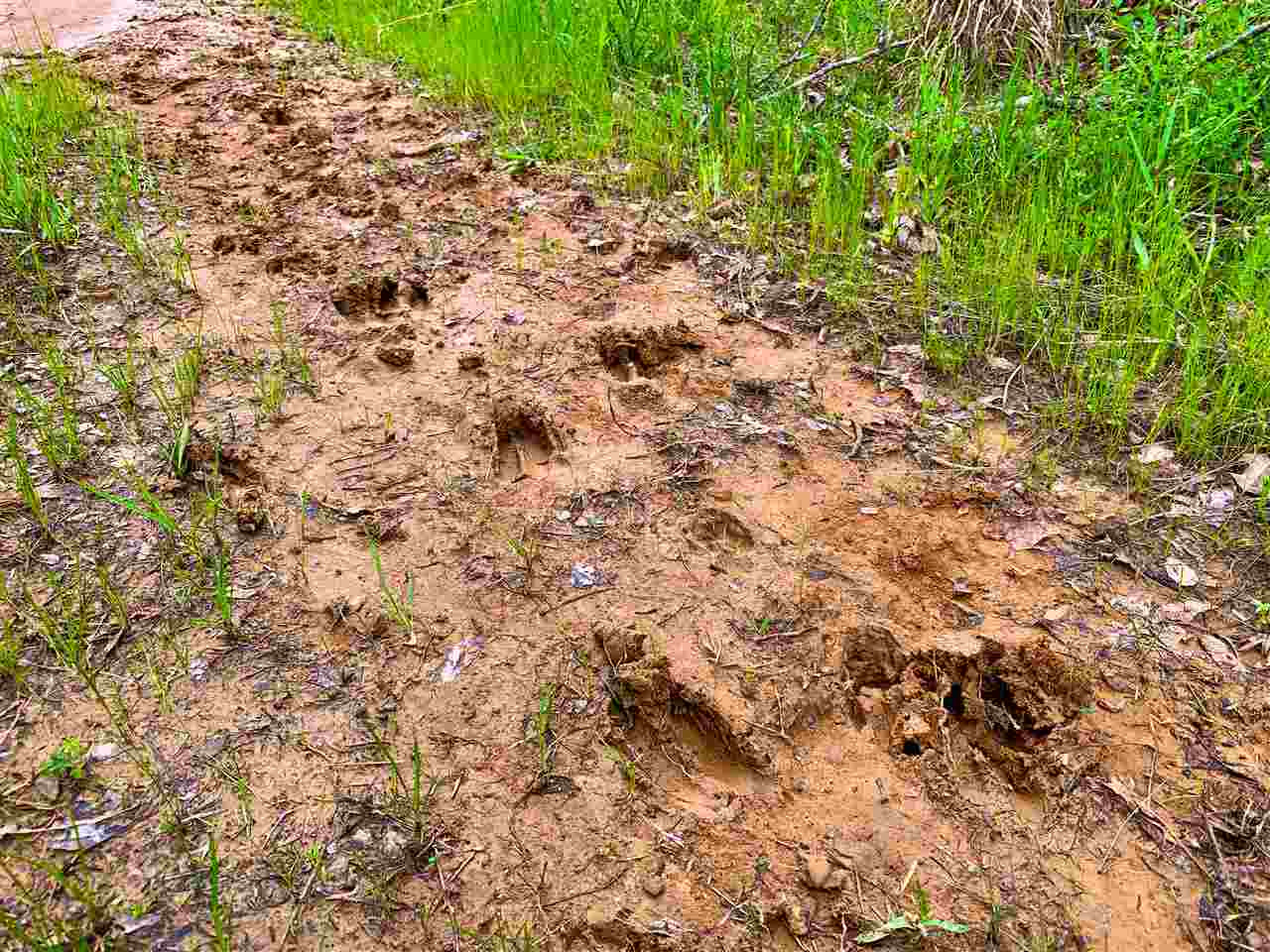 0 Darden Road Jackson, MS 39213 - Photo 6 of 18 Photo 6