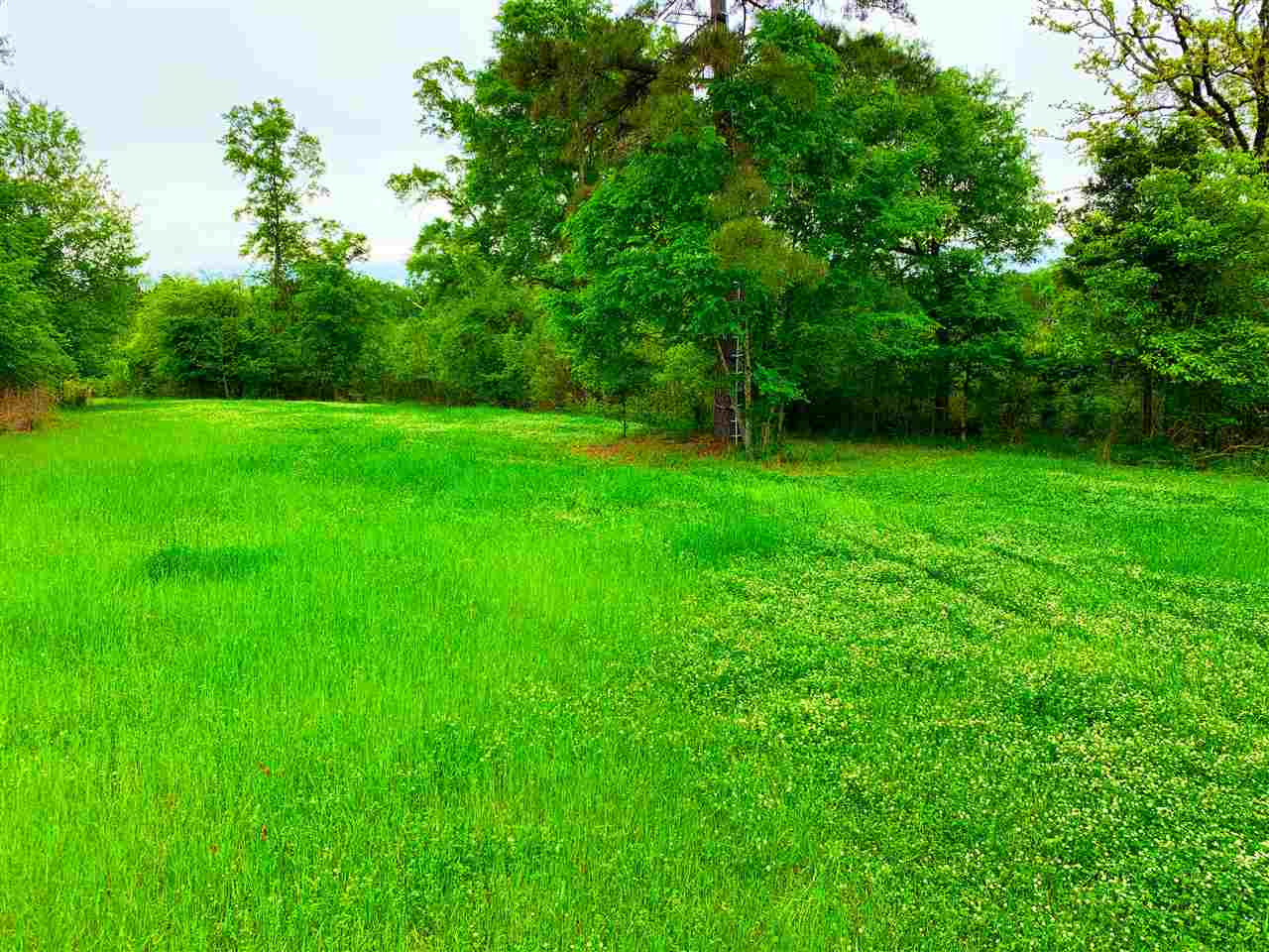0 Darden Road Jackson, MS 39213 - Photo 10 of 18 Photo 10