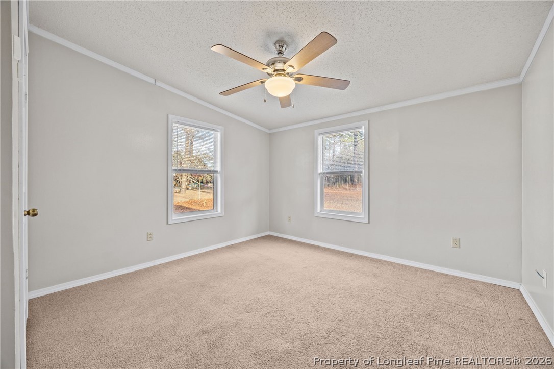 609 Micro Tower Road Lillington, NC 27546 - Photo 29 of 44