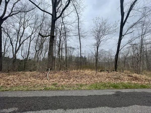 a view of a yard of a house