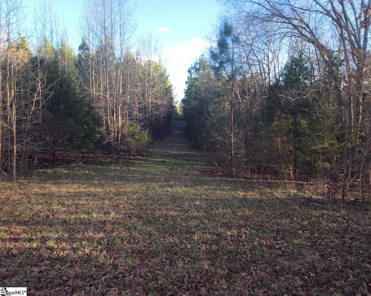 Bramlett Road Laurens, SC 29360 - Photo 3 of 17 Gallery Image 3
