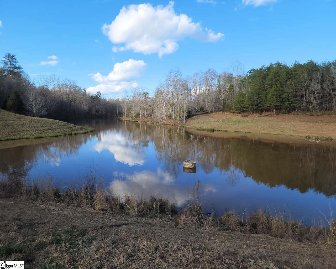 Bramlett Road Laurens, SC 29360 - Photo 5 of 17 Gallery Image 5