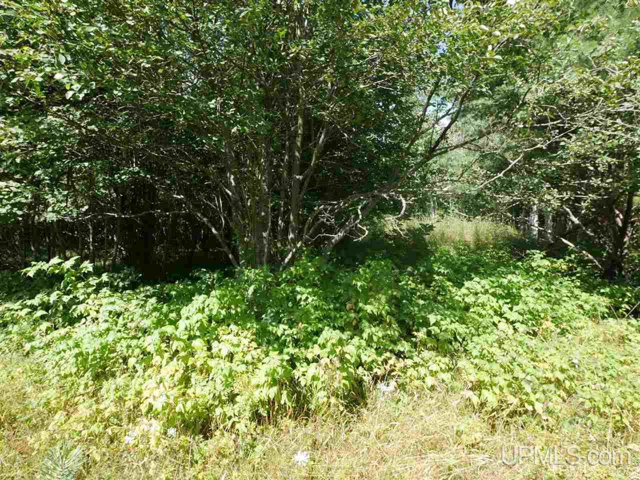 56917 Koskela Road Calumet, MI 49913 - Photo 20 of 36