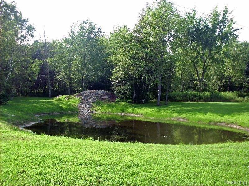 8410 Arbela Road Millington, MI 48746 - Photo 23 of 25 Pond.JPG