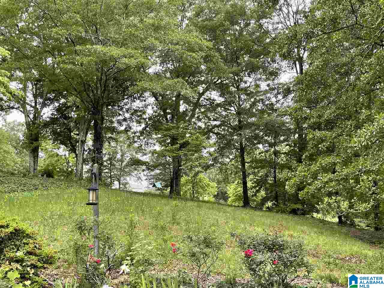 4960 Branchville Road Trussville, AL 35173 - Photo 3 of 20
