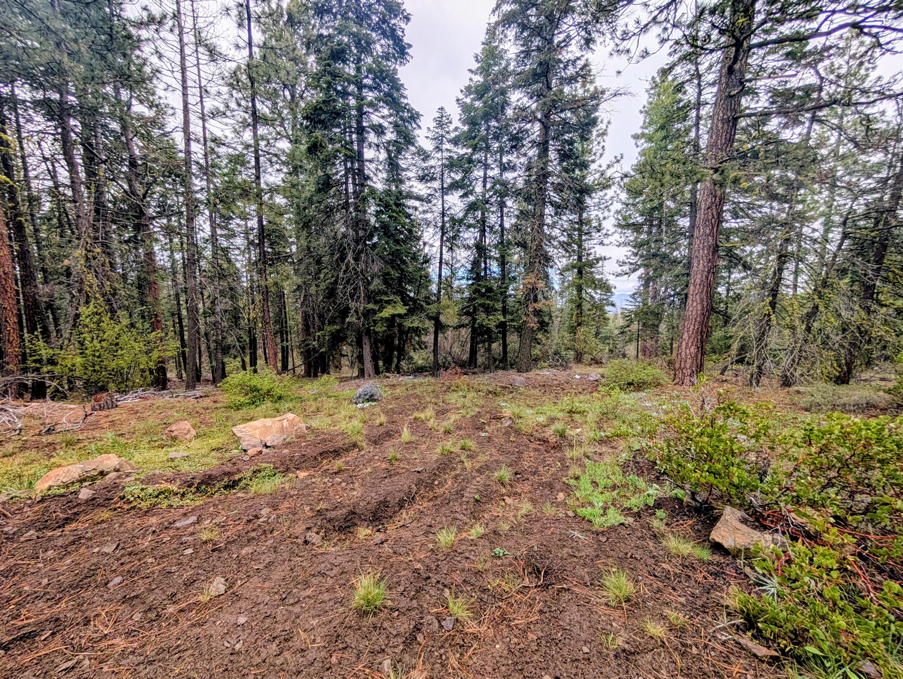 Beaver Lane, Unit 46 & 47 Bonanza, OR 97623 - Photo 4 of 8 1000010856