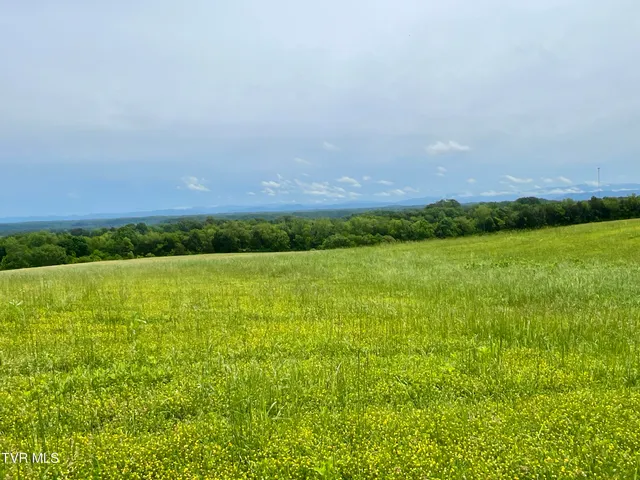 $30,000 | 2034 River View Drive, Unit 1, Morristown, TN 37813