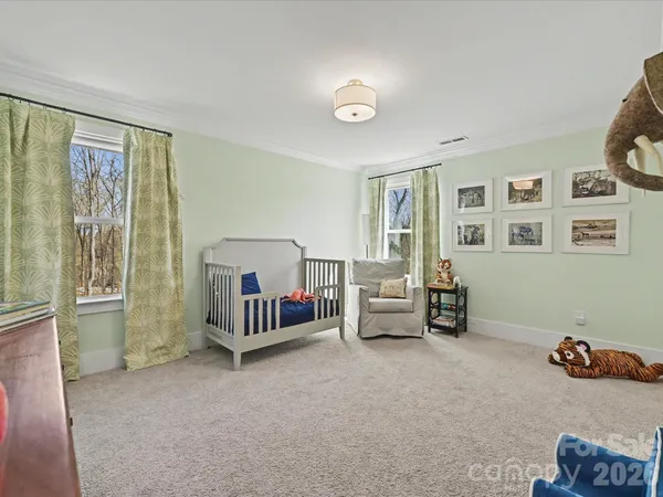 a view of a yard with a large tree