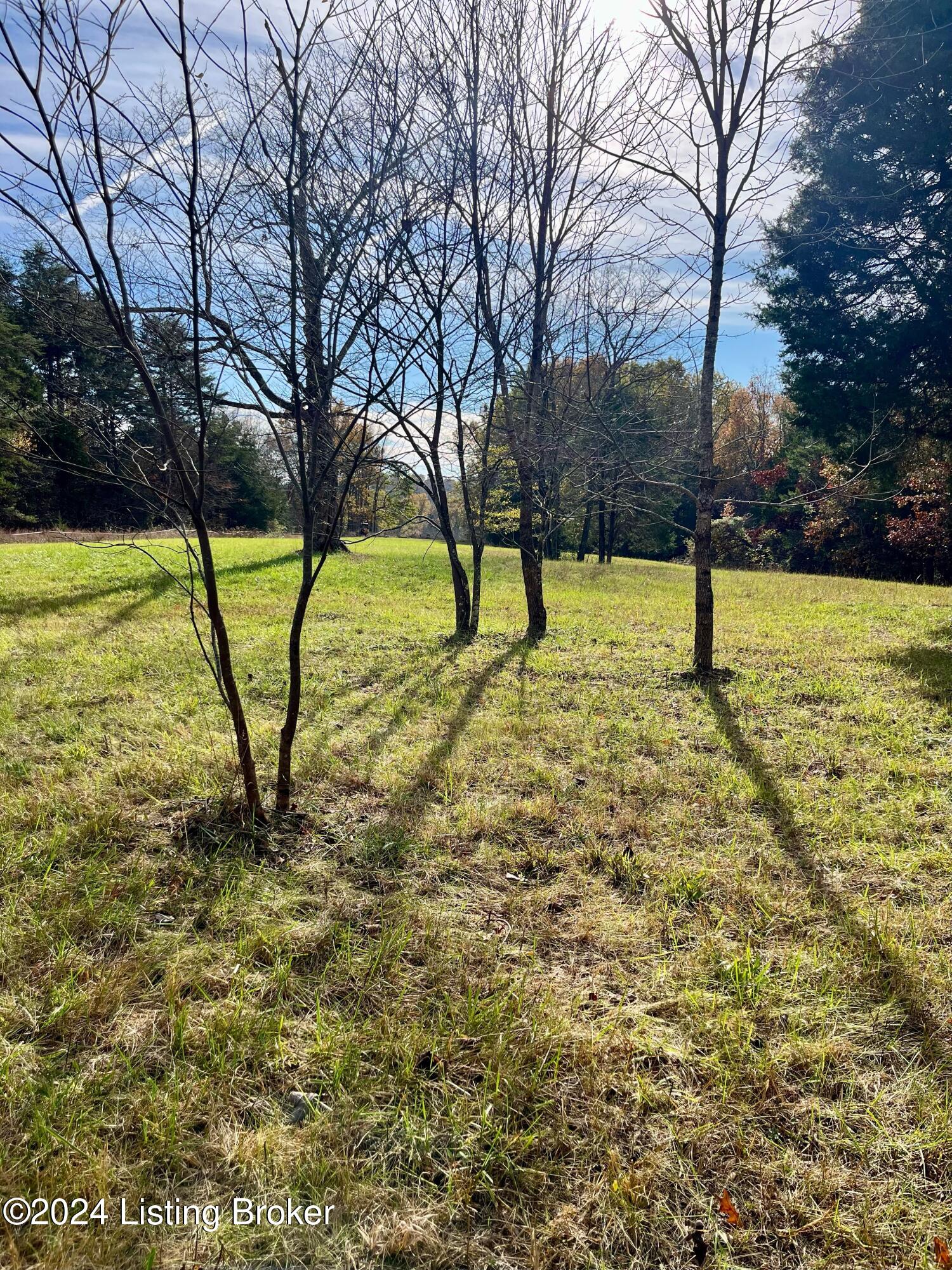 10603 Broad Run Road Louisville, KY 40299 - Photo 27 of 49 image8