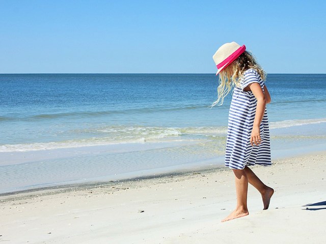 Lot 2 Cape San Blas Road Port St. Joe, FL 32456 - Photo 14 of 15
