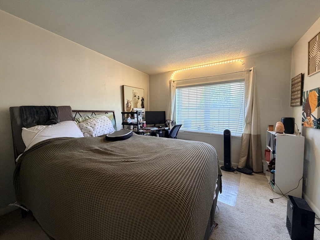 185 Lake Shore Road, Unit 1 Boston, MA 02135 - Photo 8 of 21
